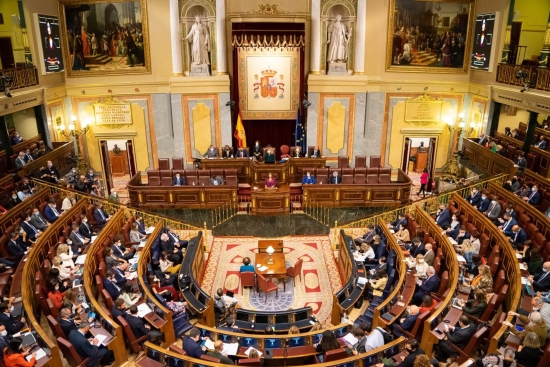 Spain's Congress on November 11, 2021 (by Congreso de los Diputados)